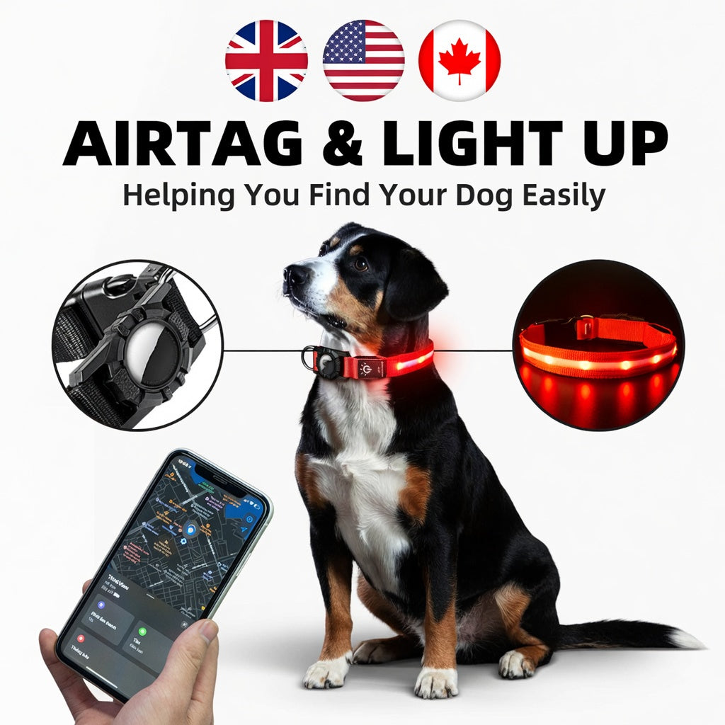 Harness AirTag Pet Collar & Protective Tracker Holder